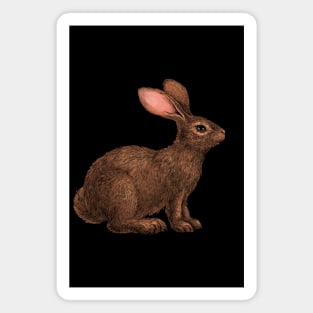 Rabbit 5 Magnet